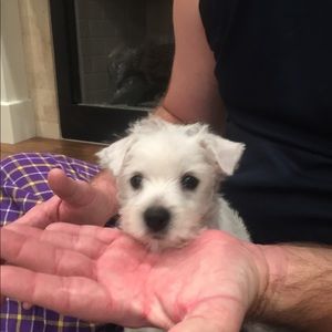 Meet your Posher, Michael